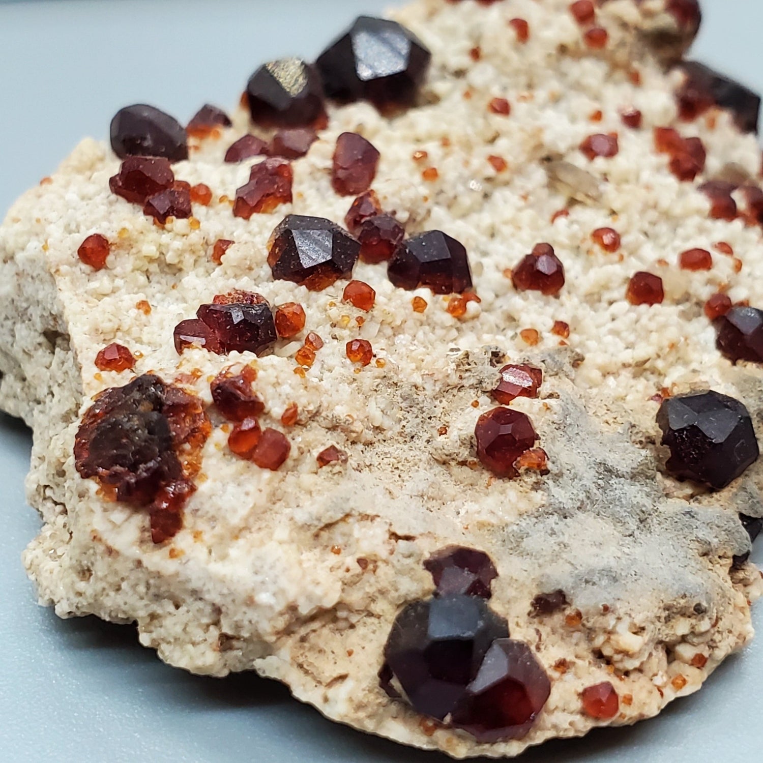 Mineral Specimens - Earth & Hammer