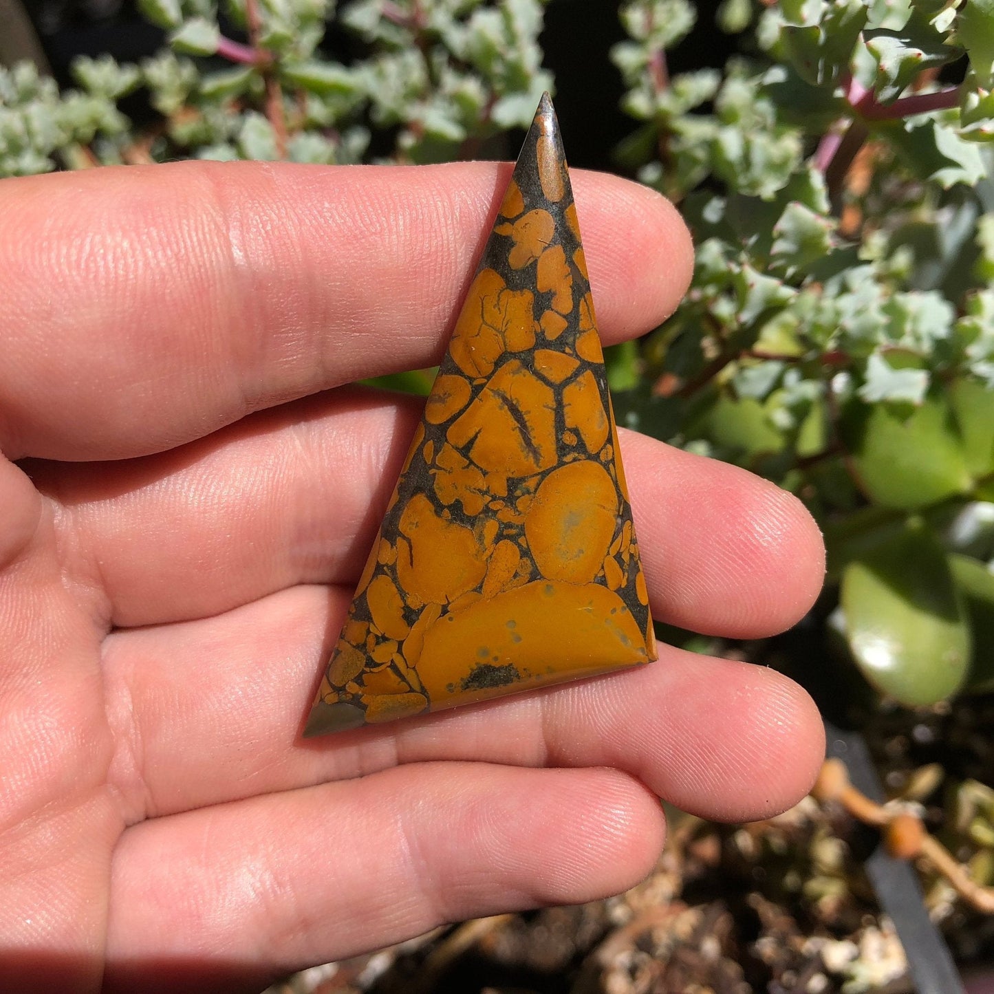 Bamboo Jasper Cabochon - 66.4 carats - Earth & Hammer