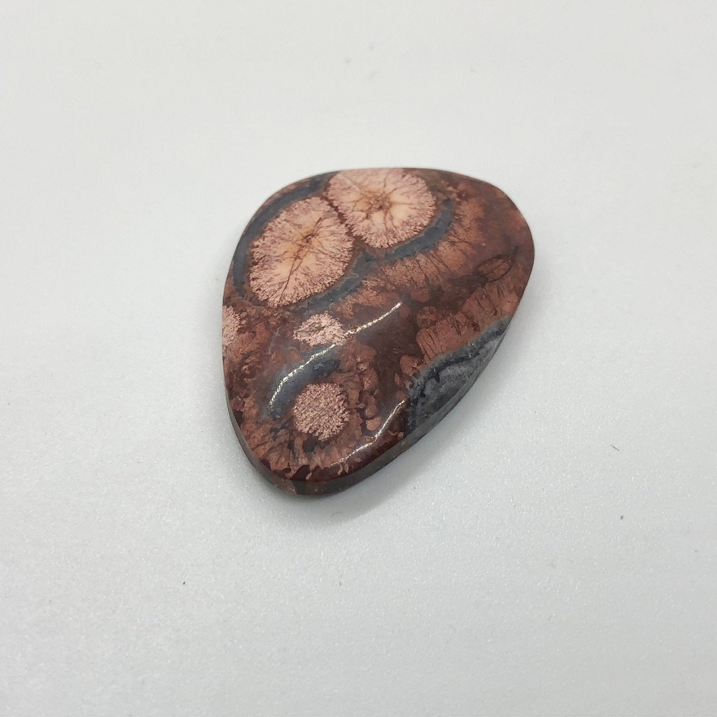 Bird's Eye Jasper - 25.95 carats - Earth & Hammer