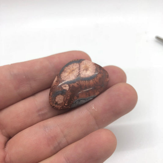 Bird's Eye Jasper - 25.95 carats - Earth & Hammer