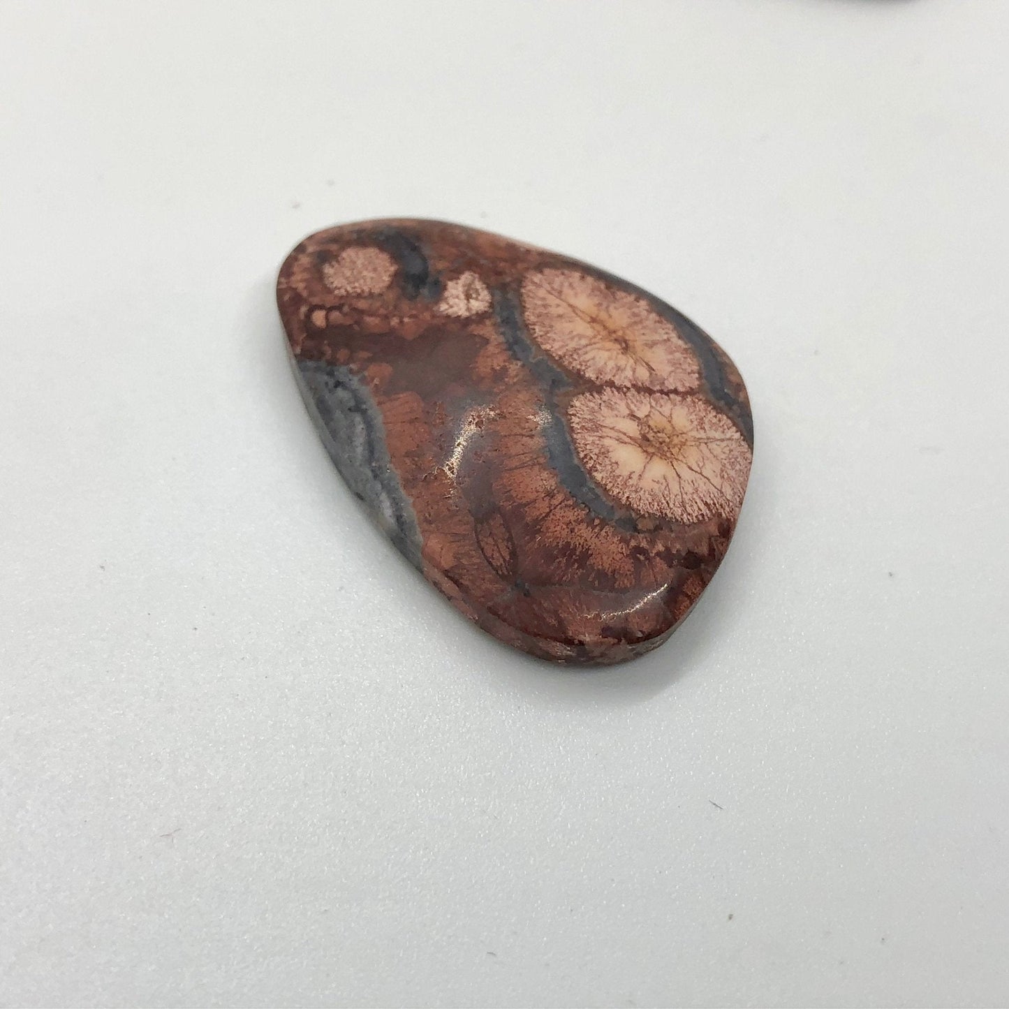 Bird's Eye Jasper - 25.95 carats - Earth & Hammer