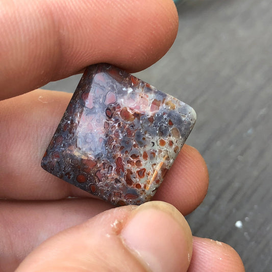 Fossil Dinosaur Bone Cabochon - 39 carats (25 mm x 25 mm) - Earth & Hammer