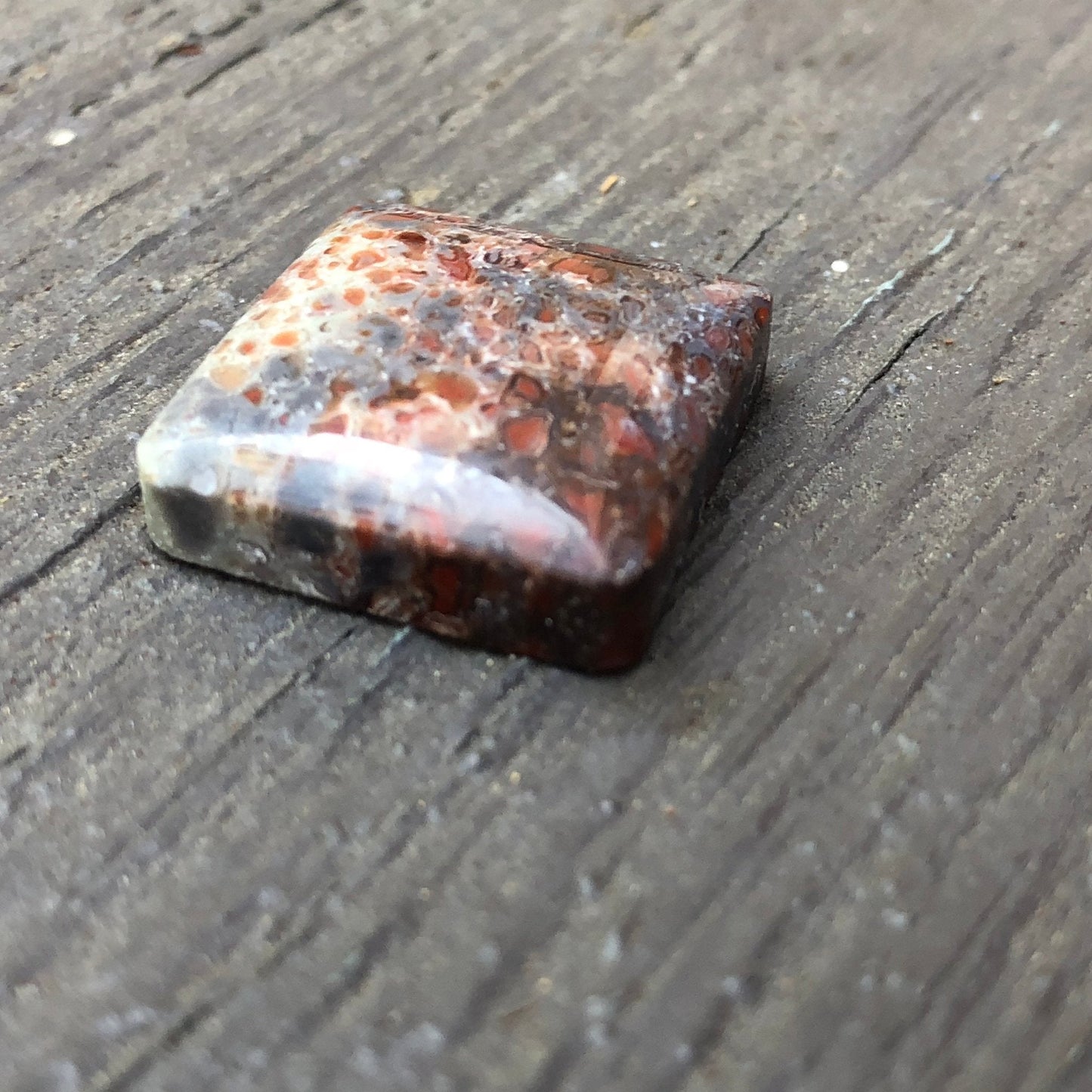 Fossil Dinosaur Bone Cabochon - 39 carats (25 mm x 25 mm) - Earth & Hammer