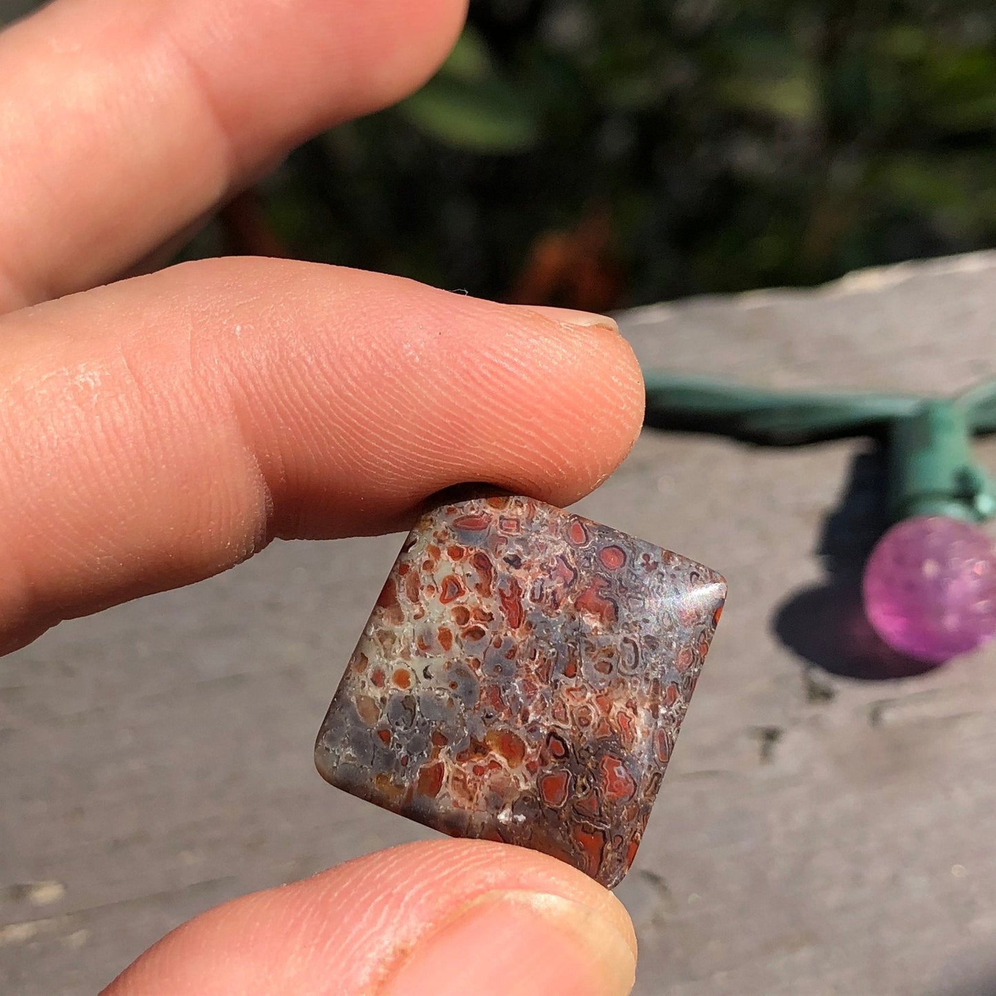 Fossil Dinosaur Bone Cabochon - 39 carats (25 mm x 25 mm) - Earth & Hammer