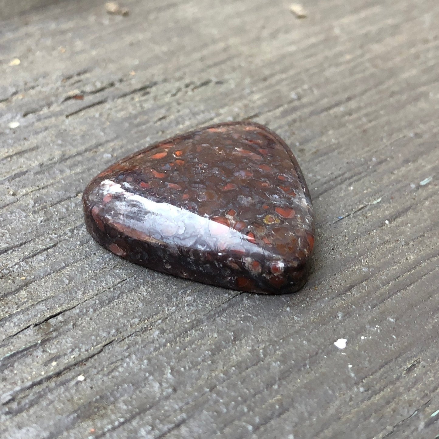 Fossil Dinosaur Bone Cabochon - 40.9 carats - Earth & Hammer
