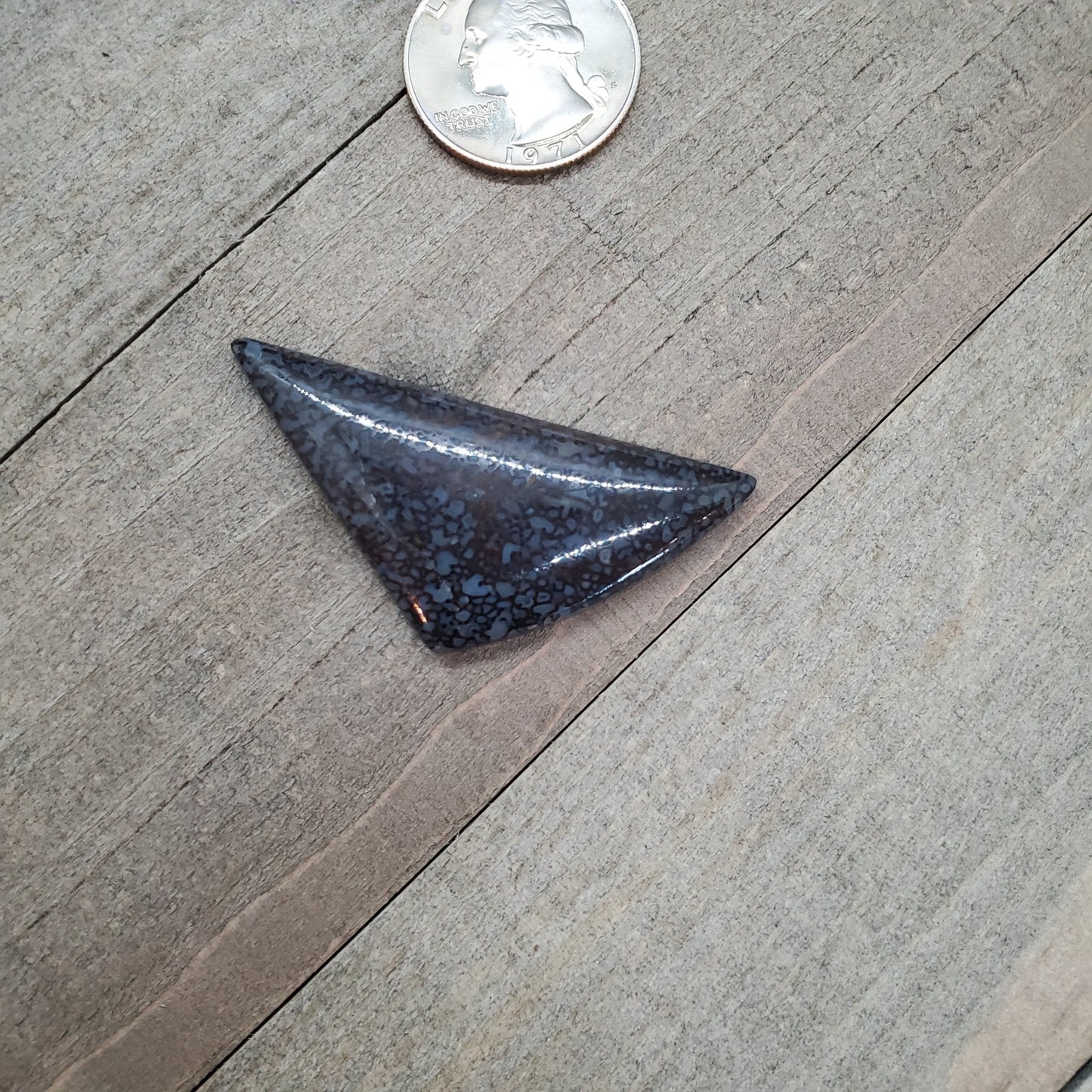 Fossil Dinosaur Bone Cabochon - 55.95 carats (45 mm x 36 mm) - Earth & Hammer