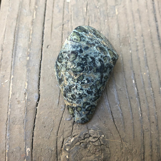 Kambaba Jasper Pendant - 91 carats - Earth & Hammer