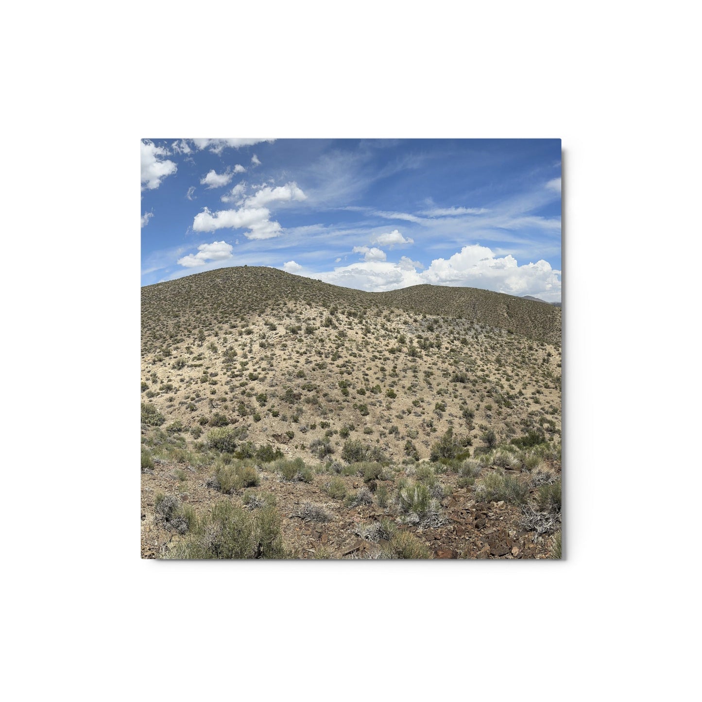Metal prints - Earth & Hammer