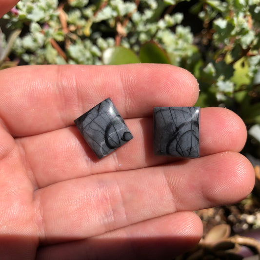 Picasso Marble Cabochons - Matched Pair - 29 carats (14 mm x 13 mm)