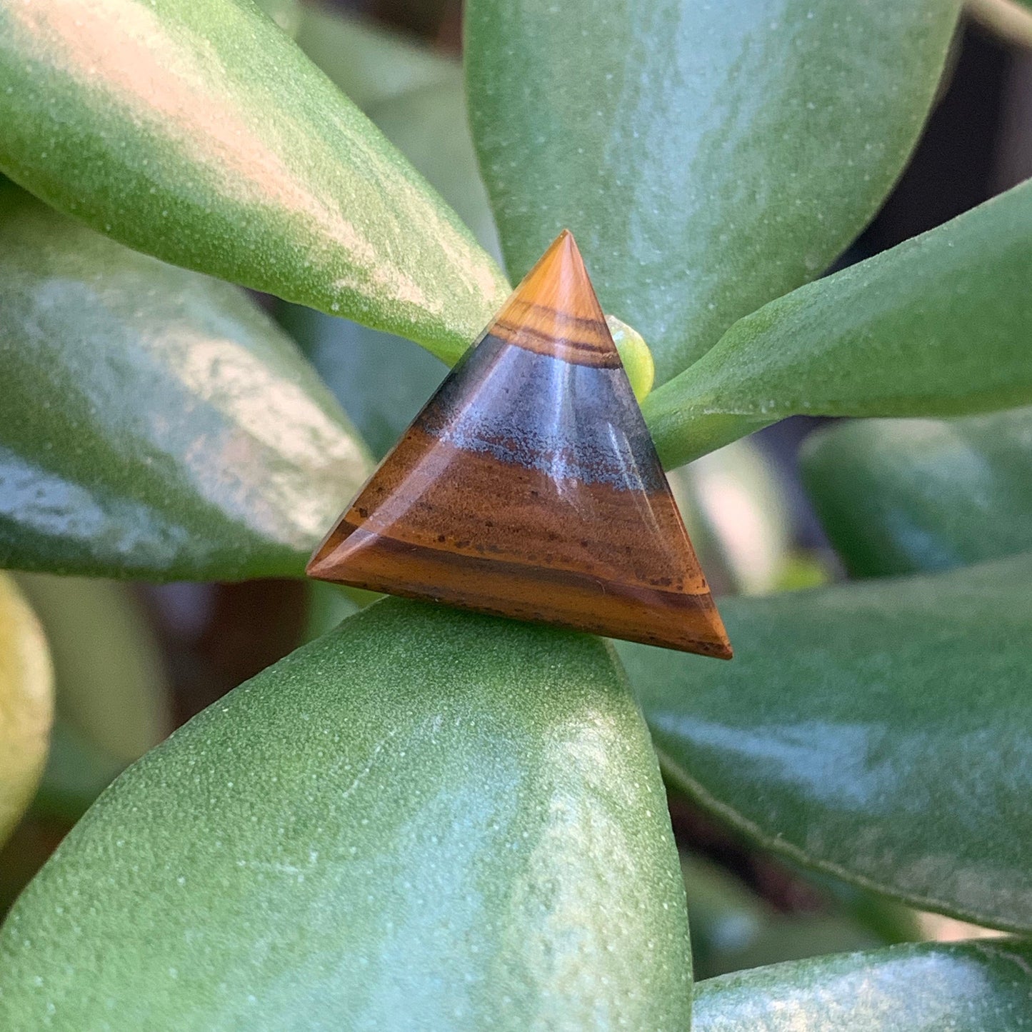 Tiger's Eye Cabochon - 9.4 carats (16.1 mm x 16.7 mm)