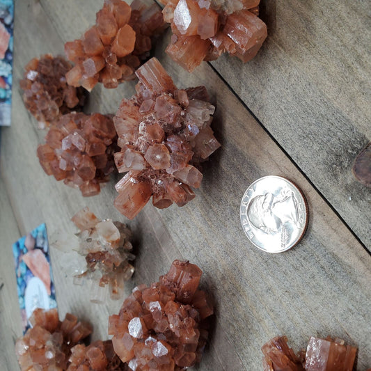 Aragonite Clusters New in Stock! - Earth & Hammer