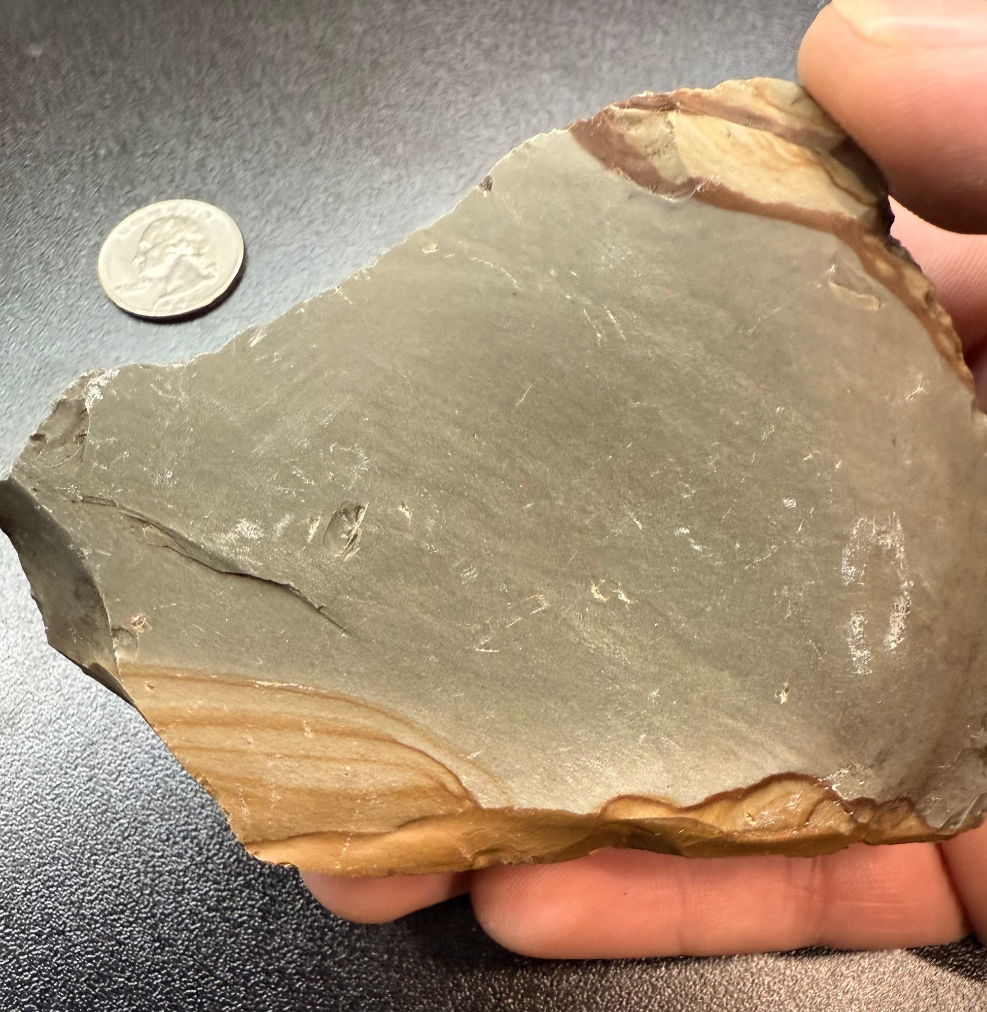 Hand holding a large piece of Disaster Peak Jasper with a US quarter in the background for scale.