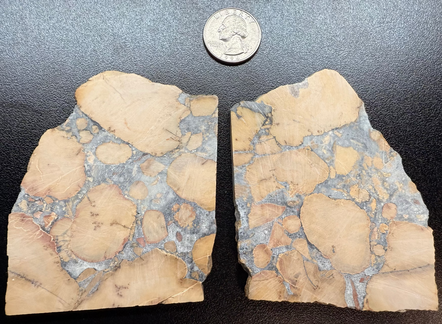 Two geological samples with a coin for scale on a dark surface
