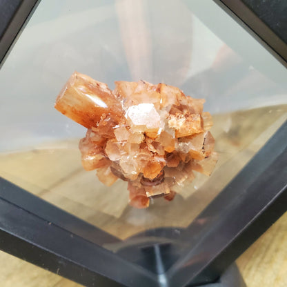 Aragonite Specimen Floating Display - Earth & Hammer