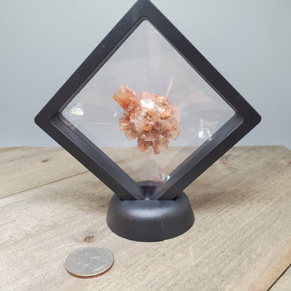 Aragonite Specimen Floating Display - Earth & Hammer