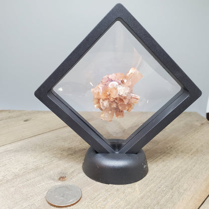 Aragonite Specimen Floating Display - Earth & Hammer