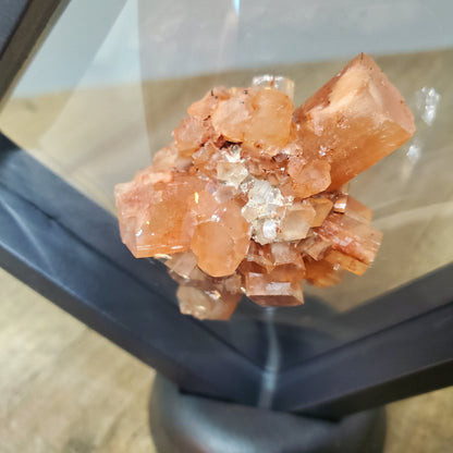 Aragonite Specimen Floating Display - Earth & Hammer