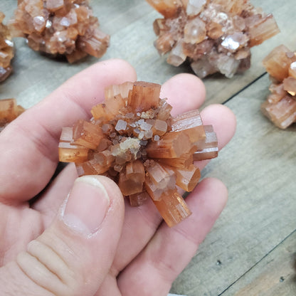 Aragonite Star Clusters - Earth & Hammer