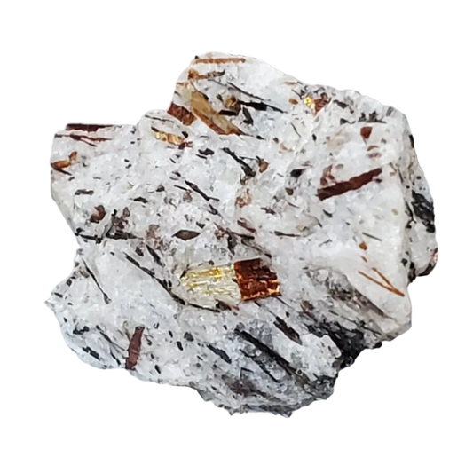 Mineral sample with visible crystals on a white background
