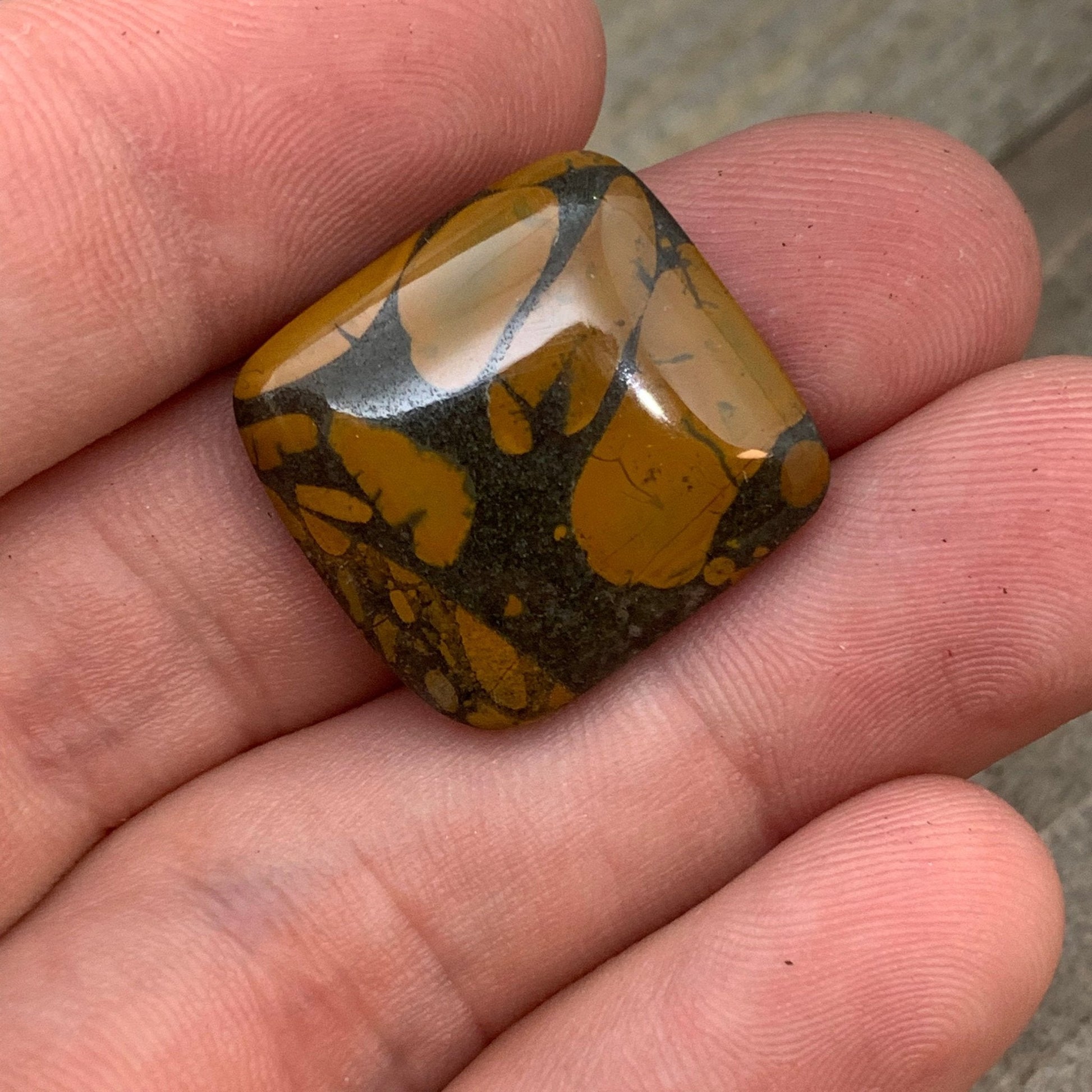 Bamboo Jasper Cabochon - 18.75 carats - Earth & Hammer