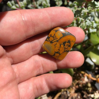 Bamboo Jasper Cabochon - 36.5 carats - Earth & Hammer