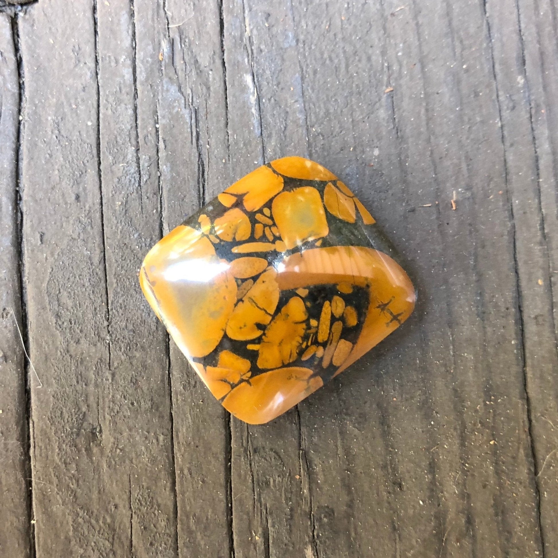 Bamboo Jasper Cabochon - 36.5 carats - Earth & Hammer