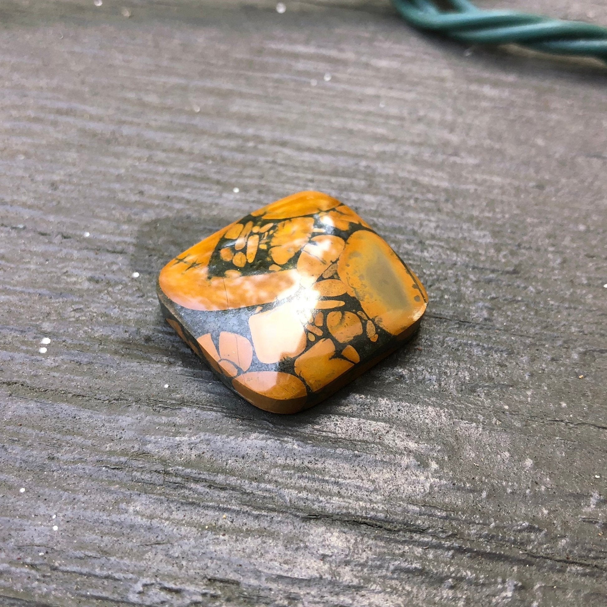 Bamboo Jasper Cabochon - 36.5 carats - Earth & Hammer