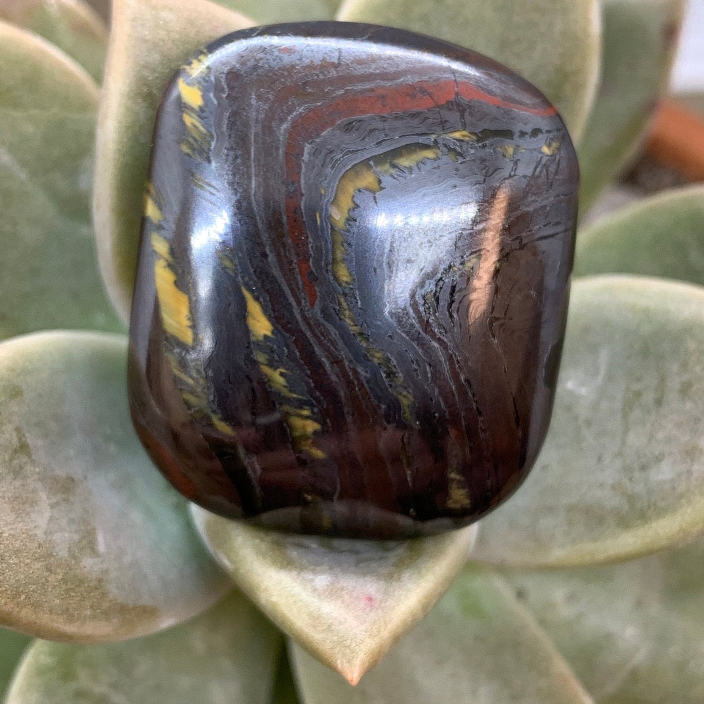 Banded Iron Formation "Tiger Iron" Cabochon - 59 carats - Earth & Hammer