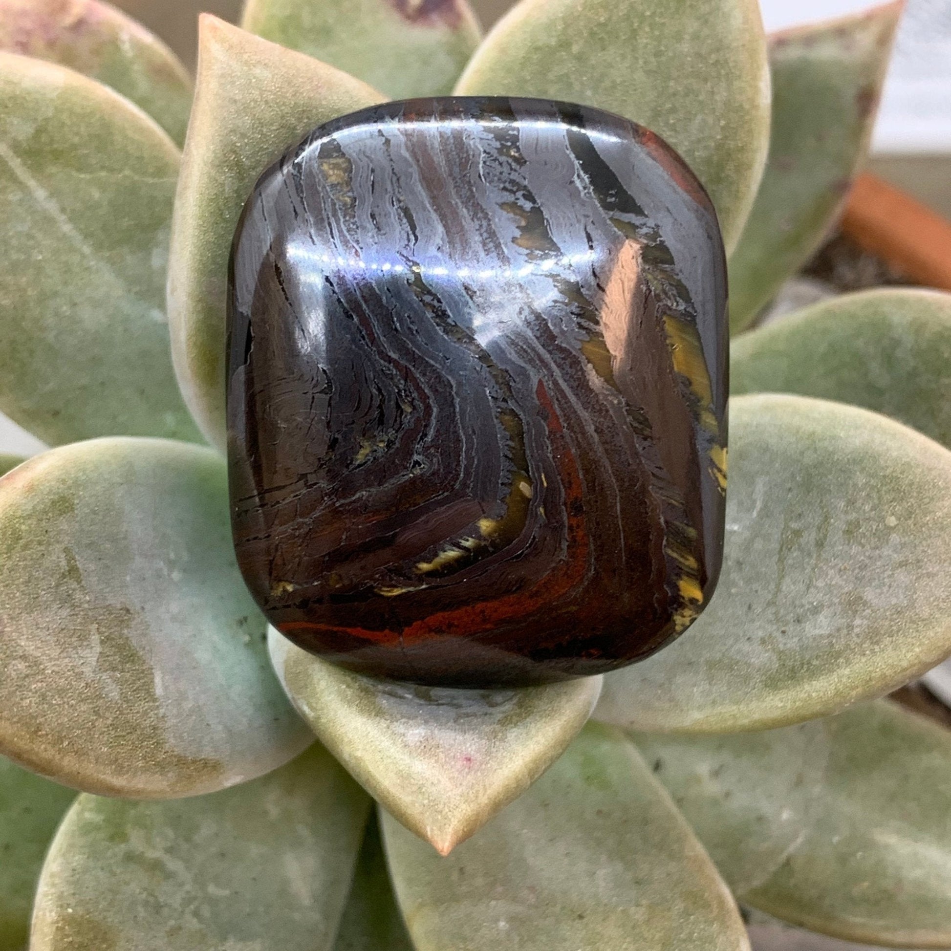 Banded Iron Formation "Tiger Iron" Cabochon - 59 carats - Earth & Hammer