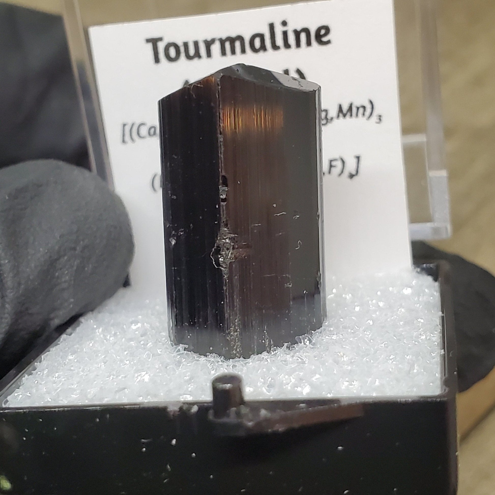 Black Tourmaline (Schorl) Specimen #1 - Earth & Hammer