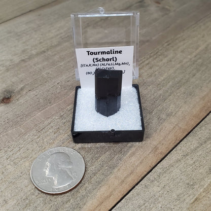 Black Tourmaline (Schorl) Specimen #1 - Earth & Hammer