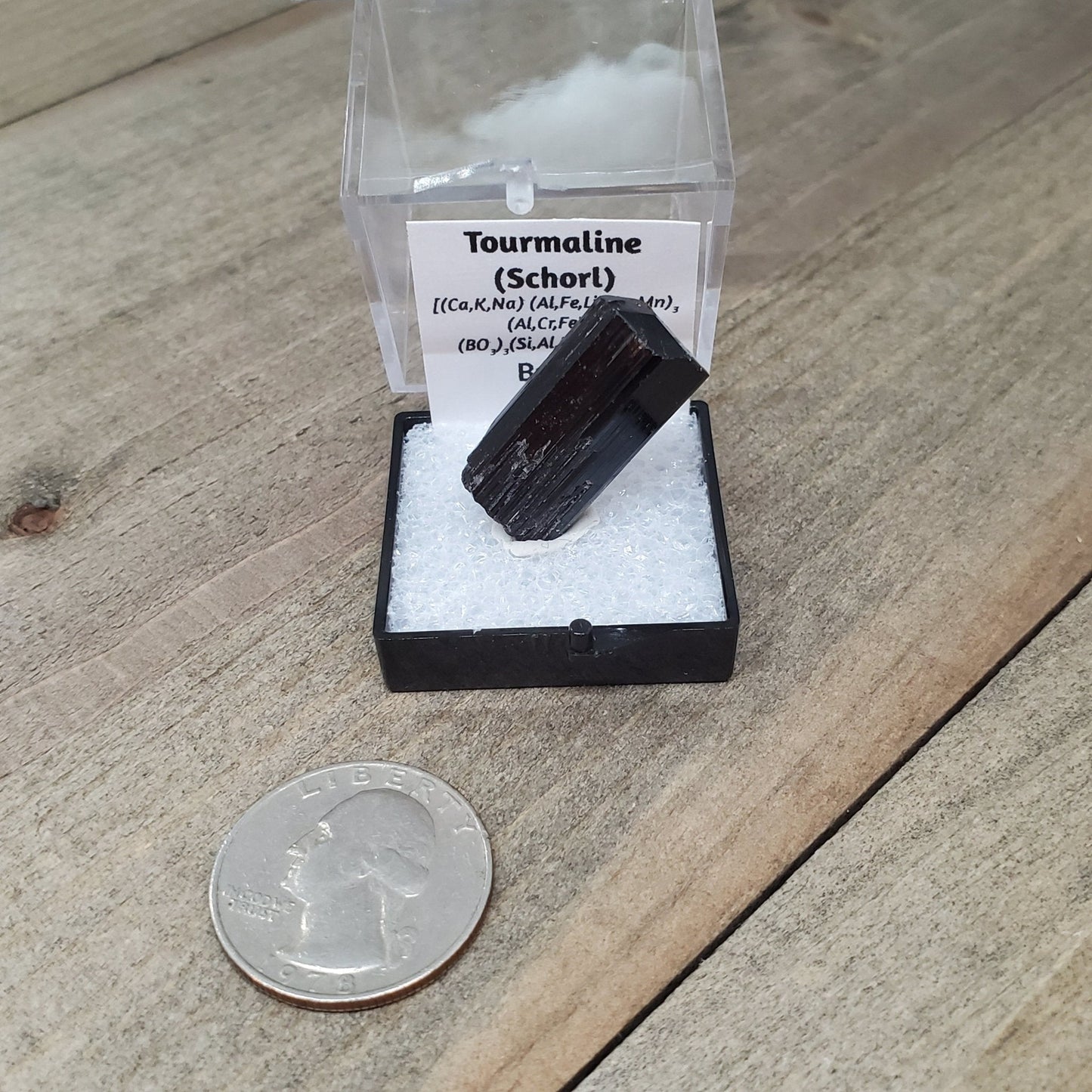 Black Tourmaline (Schorl) Specimen #2 - Earth & Hammer