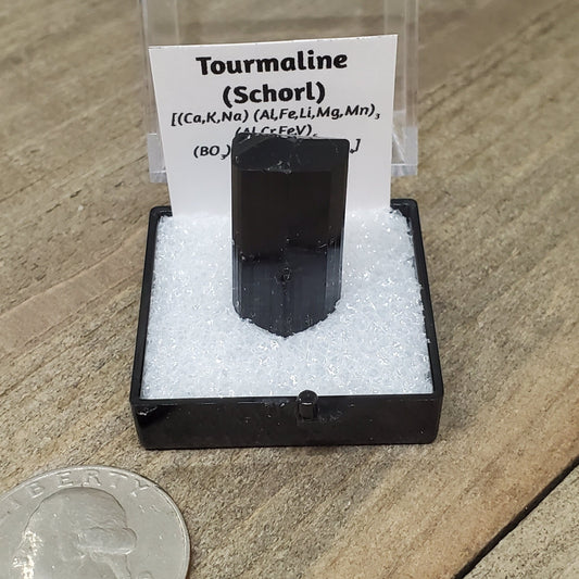 Black Tourmaline (Schorl) Specimen #1 - Earth & Hammer