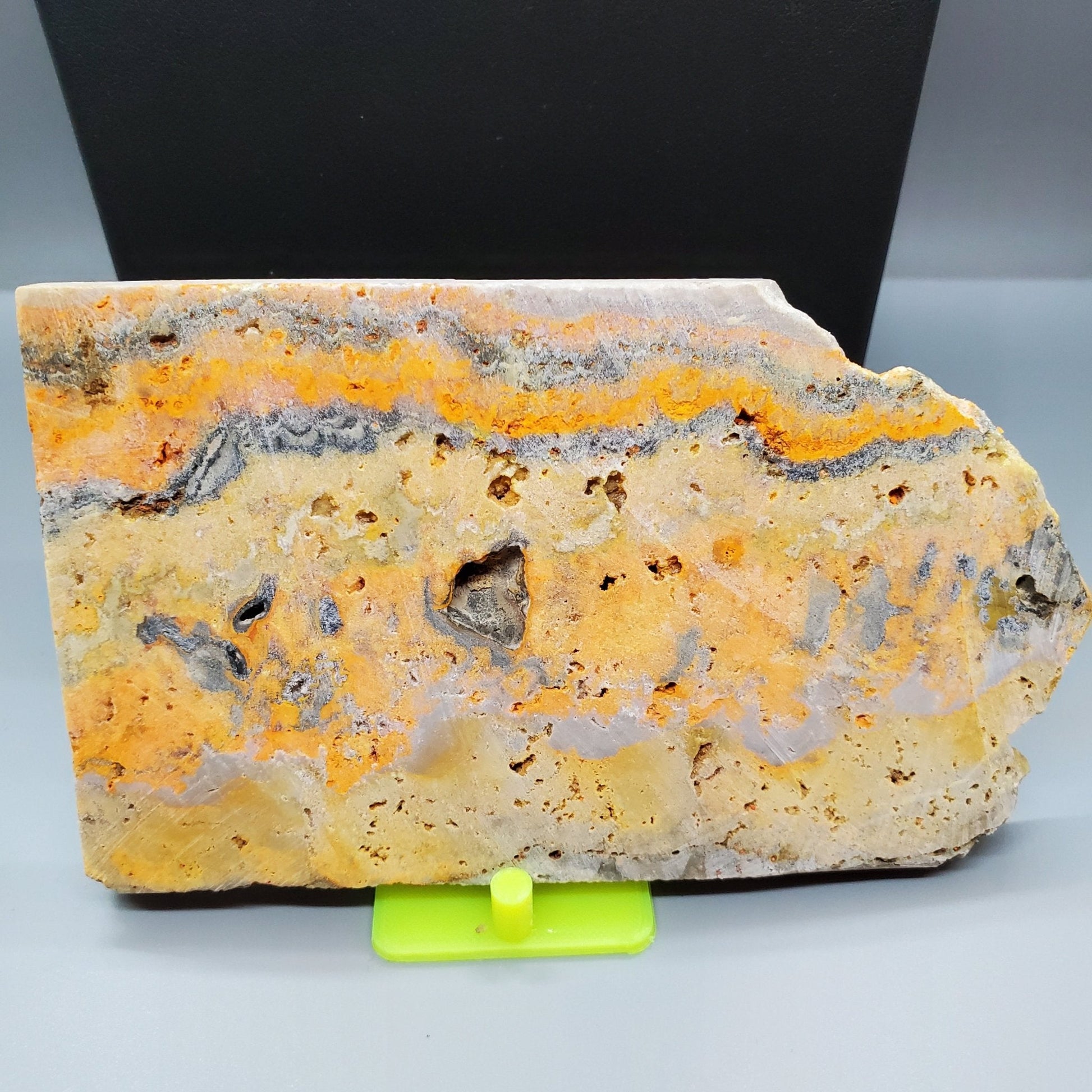 Bumblebee Jasper Rough Slab - Earth & Hammer