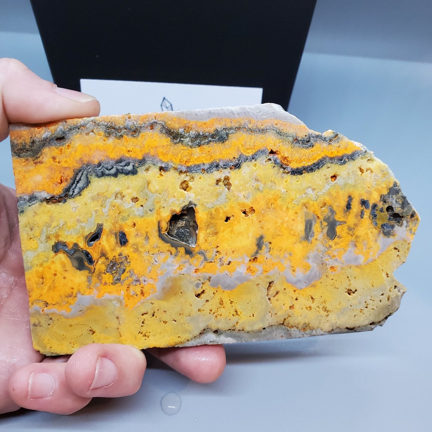 Bumblebee Jasper Rough Slab - Earth & Hammer