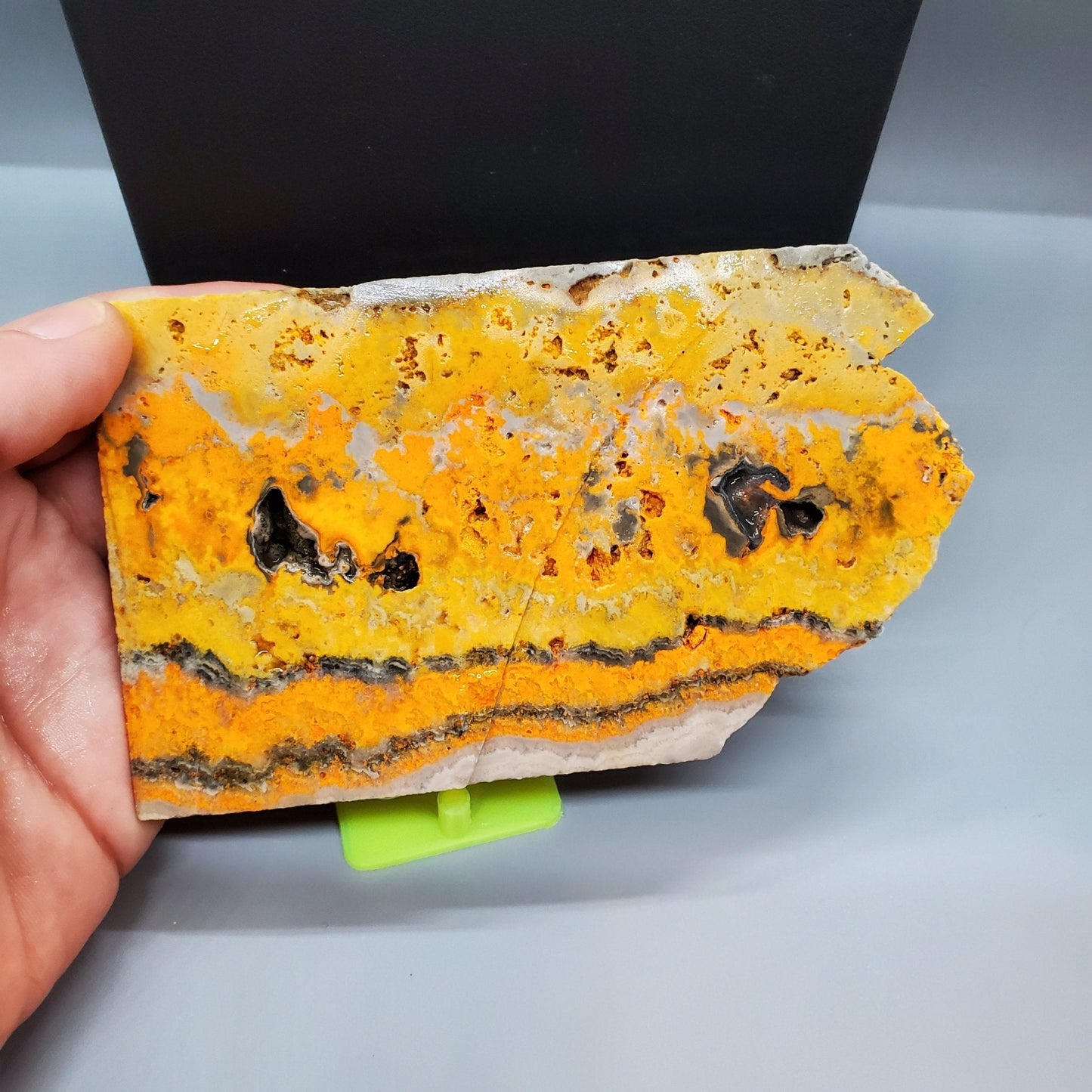 Bumblebee Jasper Rough Slab - Earth & Hammer