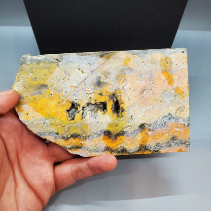 Bumblebee Jasper Slab #2 - Earth & Hammer