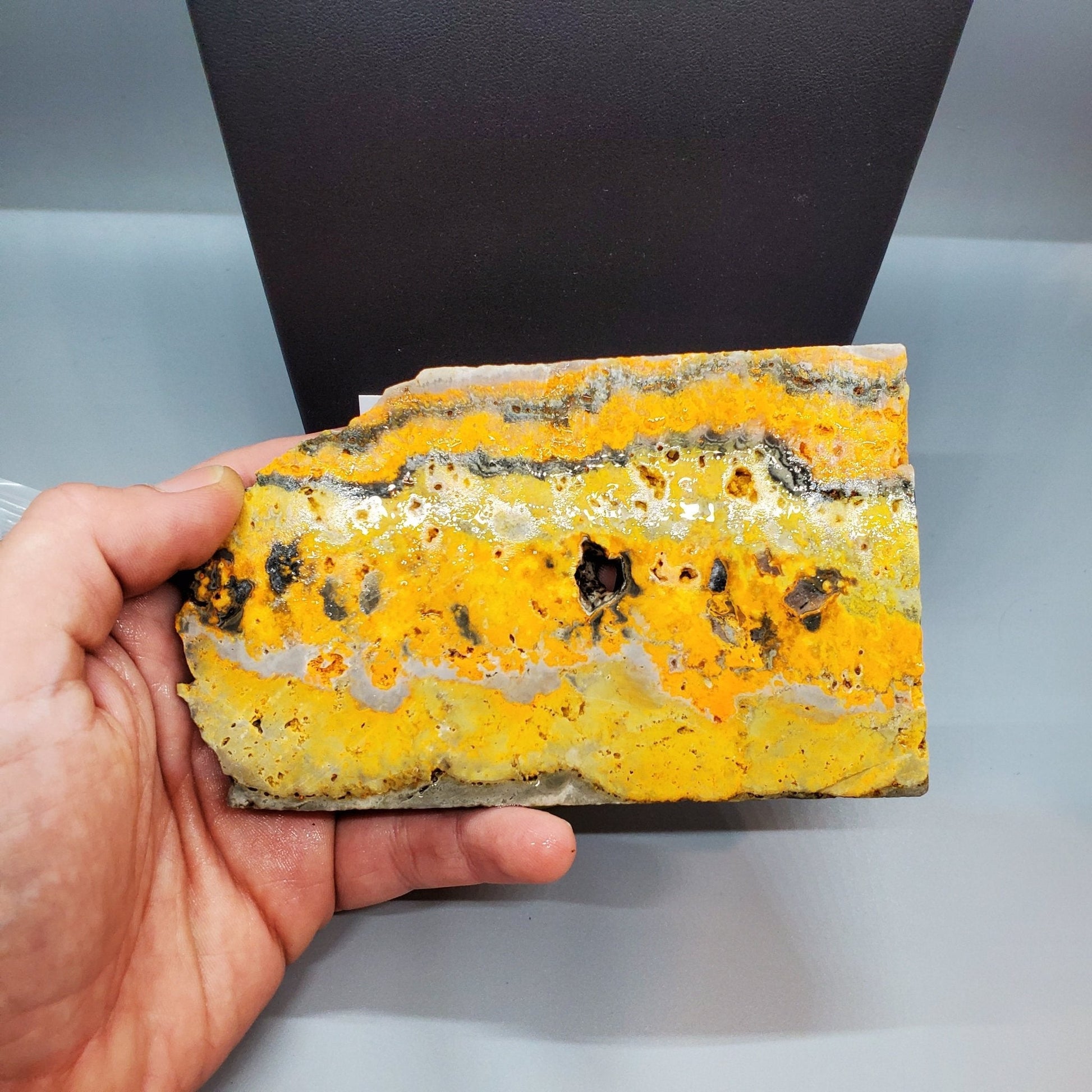 Bumblebee Jasper Slab #2 - Earth & Hammer