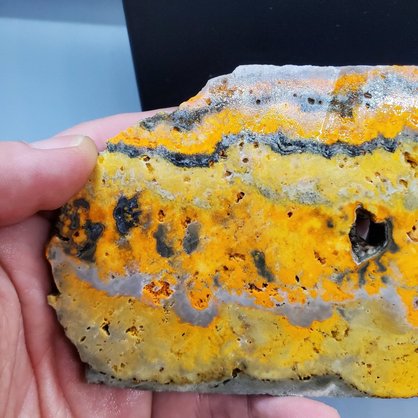 Bumblebee Jasper Slab #2 - Earth & Hammer