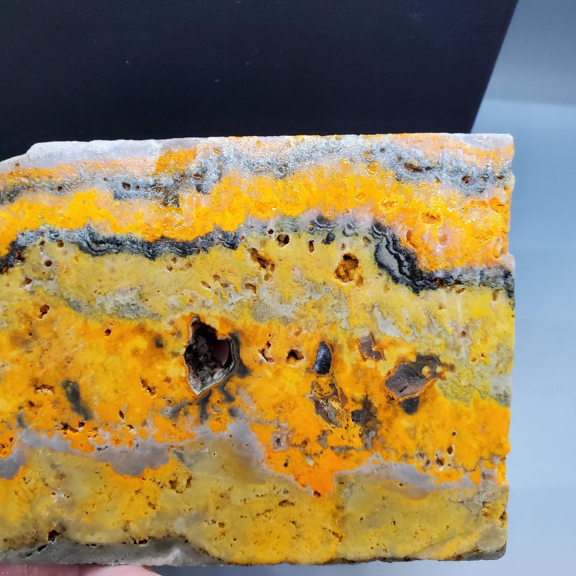 Bumblebee Jasper Slab #2 - Earth & Hammer