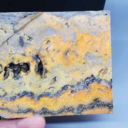 Bumblebee Jasper Slab #2 - Earth & Hammer