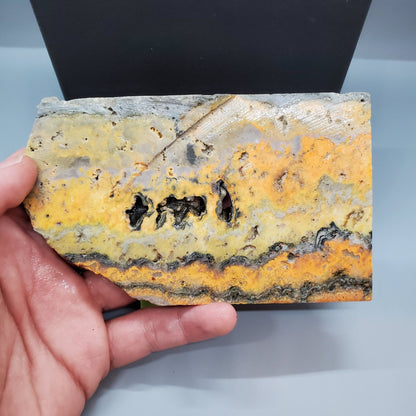 Bumblebee Jasper Slab #2 - Earth & Hammer