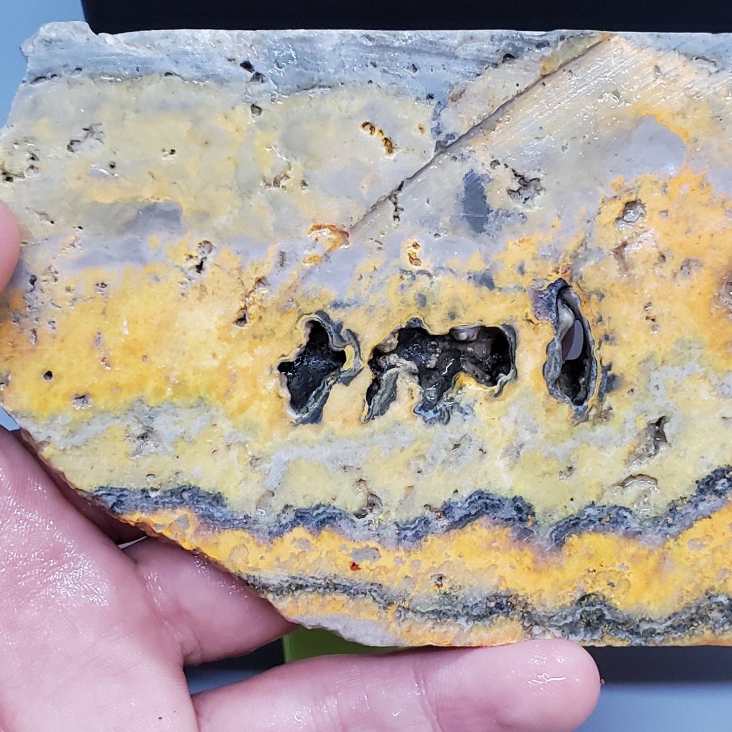 Bumblebee Jasper Slab #2 - Earth & Hammer