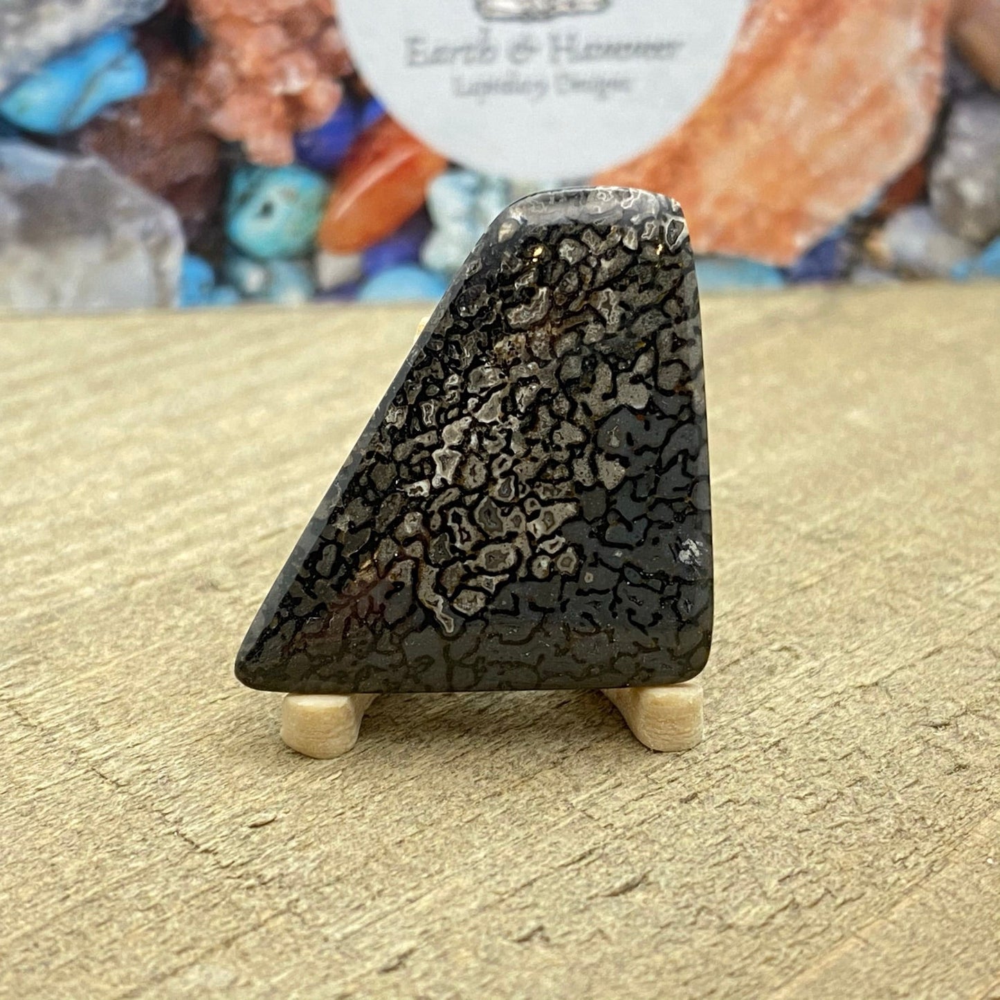 Dark Dinosaur Bone Cab - Earth & Hammer