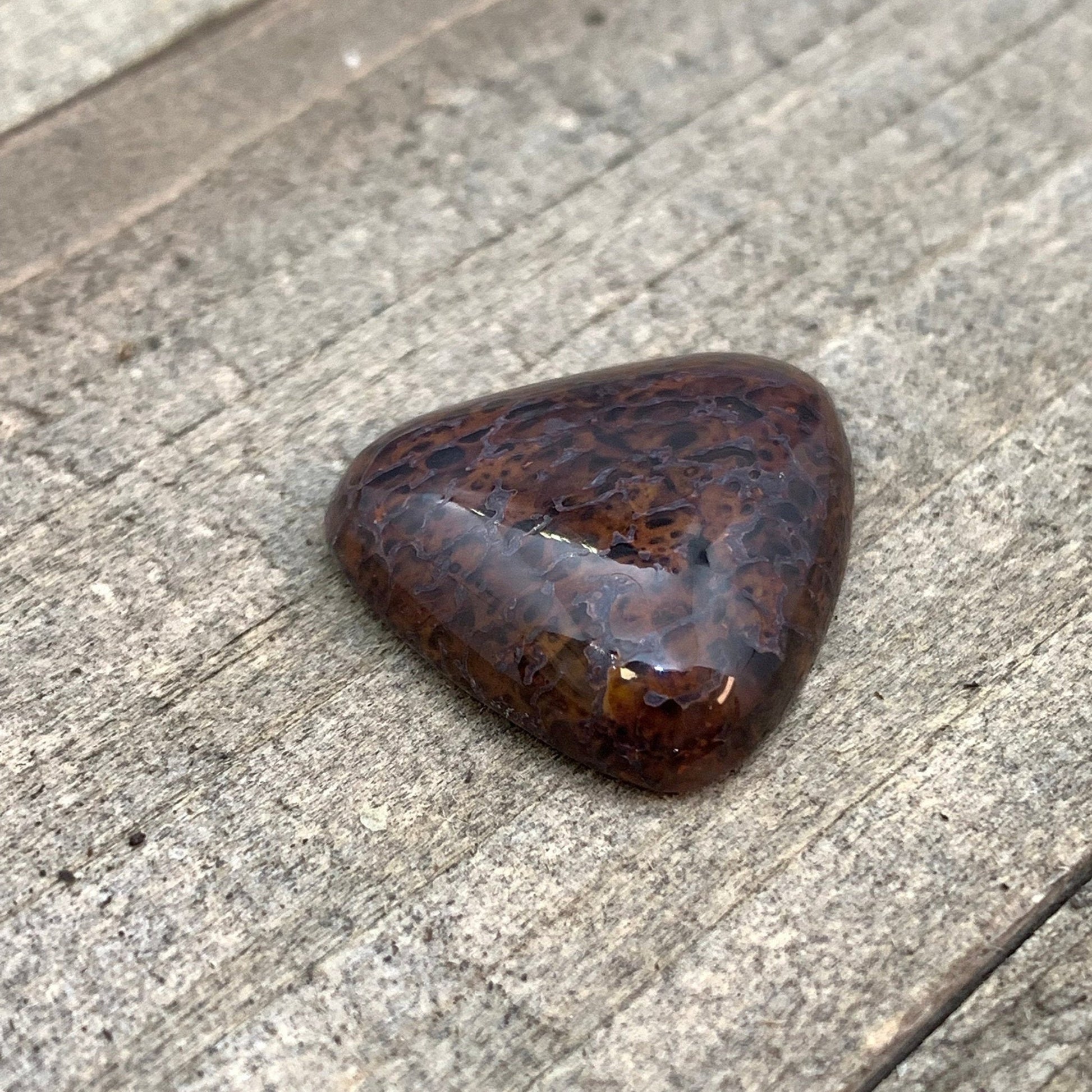 Fossil Dinosaur Bone Cabochon - 15.8 carats - Earth & Hammer