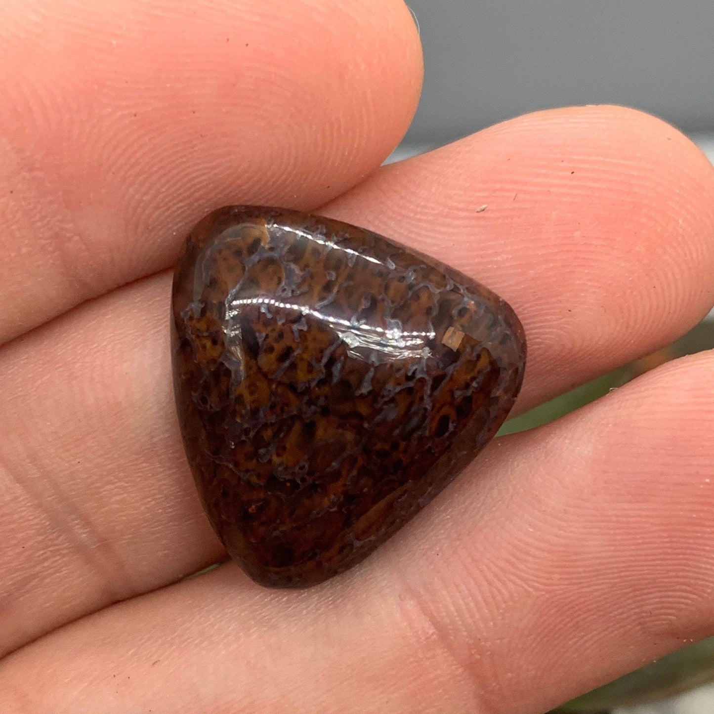 Fossil Dinosaur Bone Cabochon - 15.8 carats - Earth & Hammer