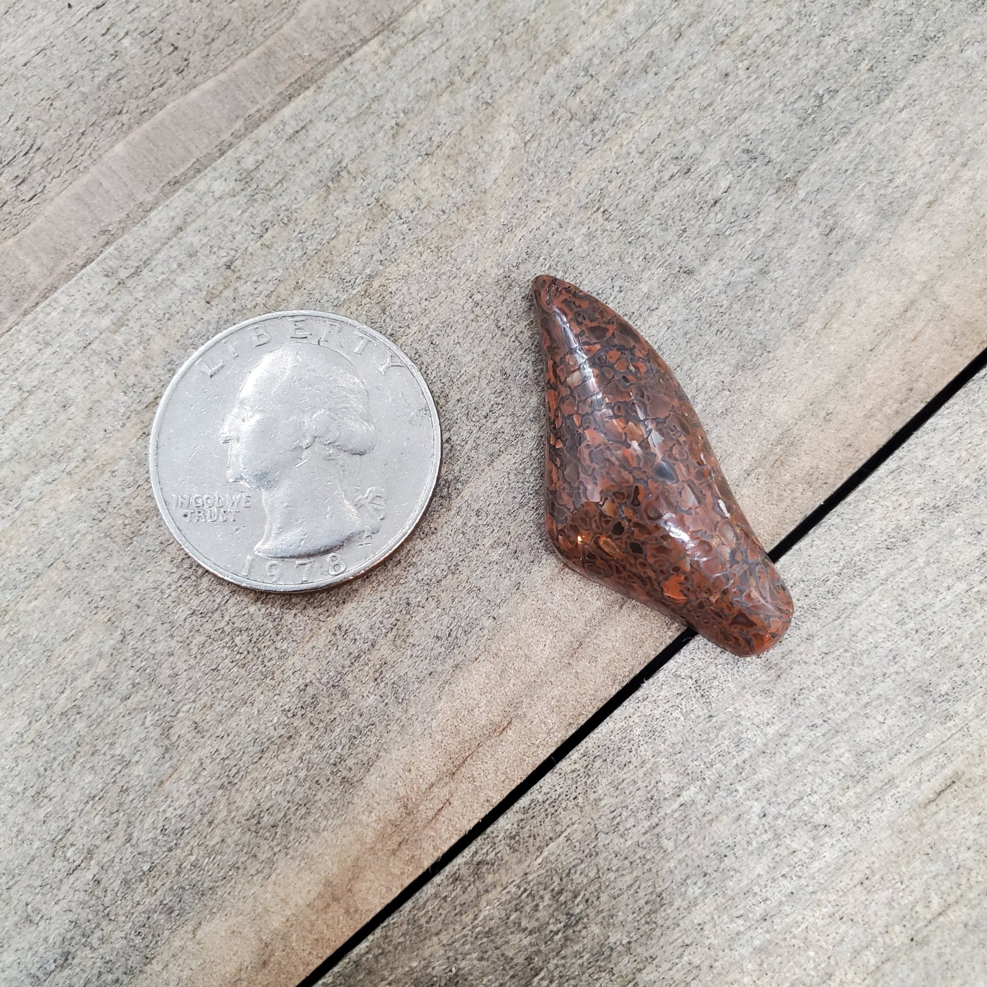 Fossil Dinosaur Bone Cabochon - 23.1 Carats - Earth & Hammer