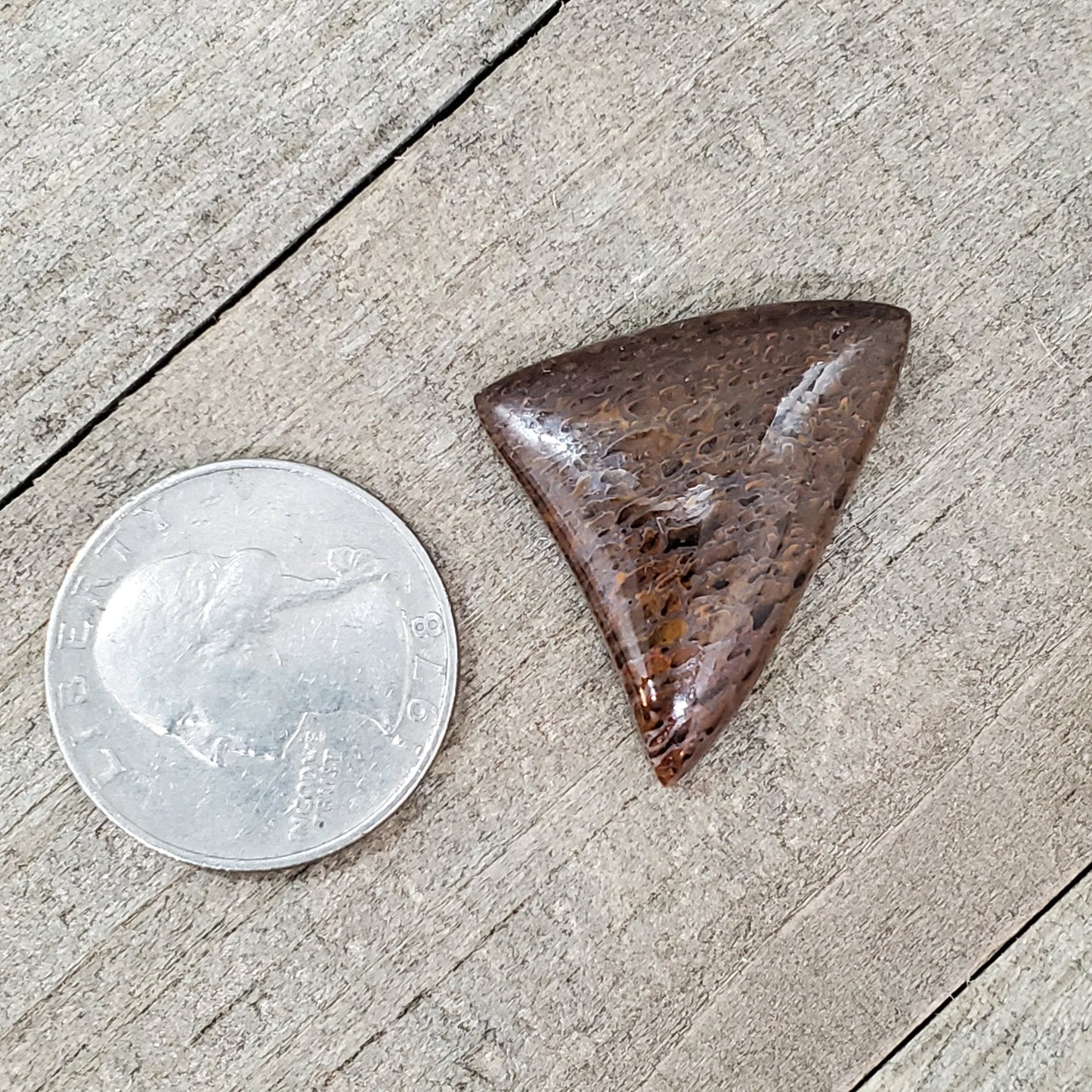 Fossil Dinosaur Bone Cabochon - 26 Carats - Earth & Hammer