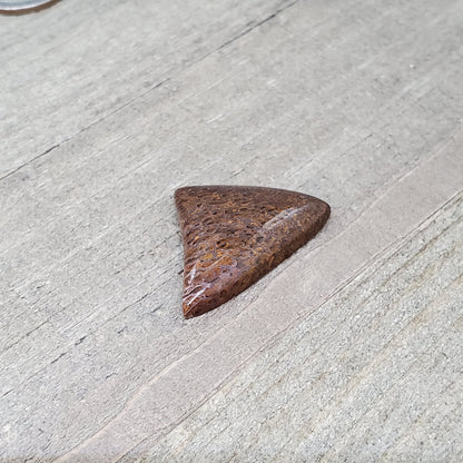 Fossil Dinosaur Bone Cabochon - 26 Carats - Earth & Hammer