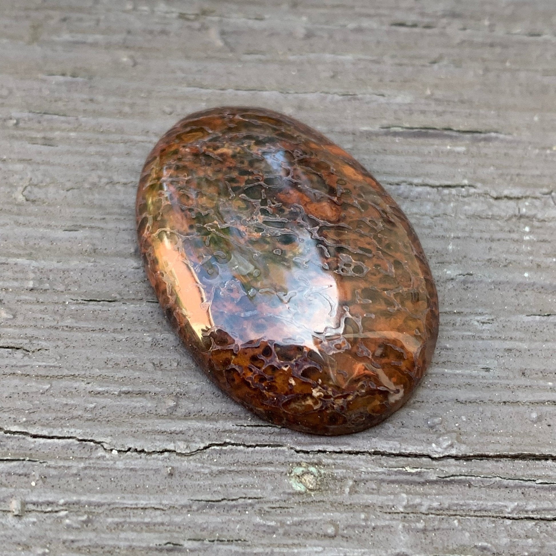 Fossil Dinosaur Bone Cabochon - 26.5 carats - Earth & Hammer